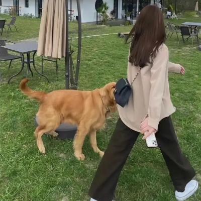 见证